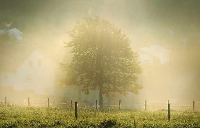 网页DDOS攻击平台