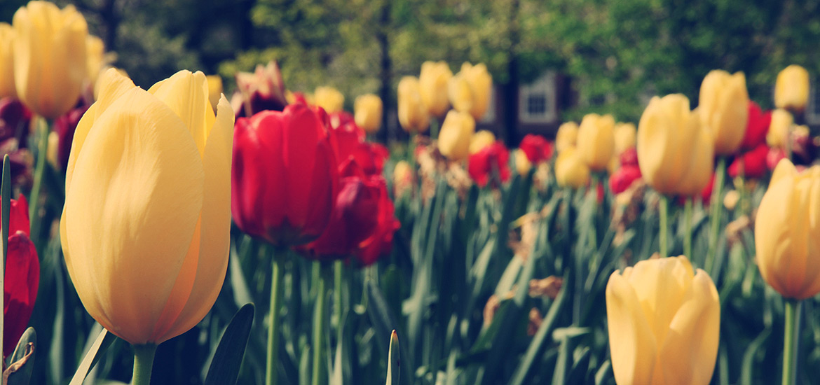 服务器攻击软件