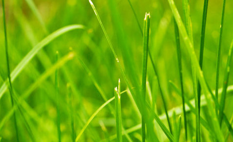 ddos在线压力测试平台